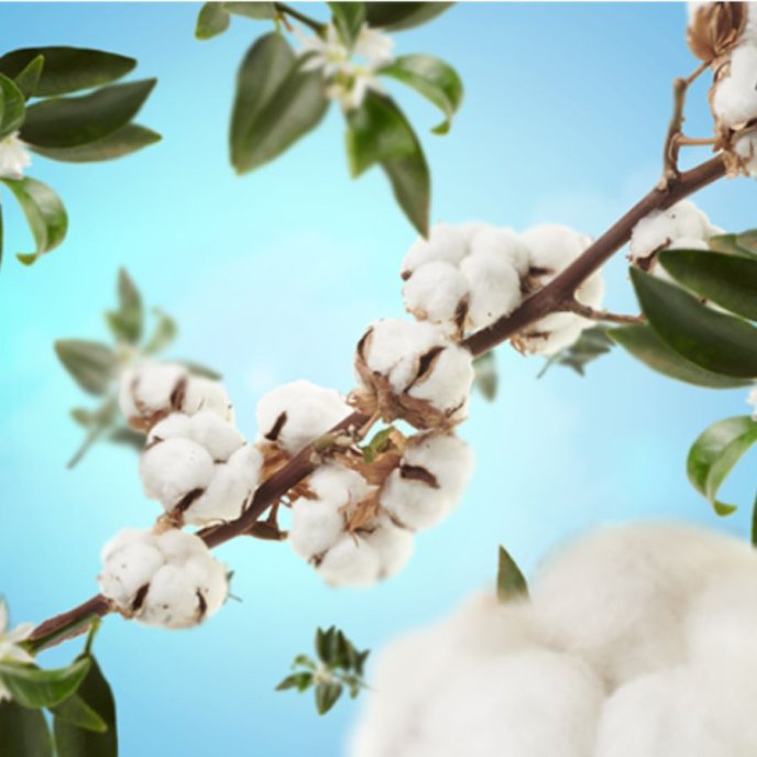 Refill Doftlampa | Cotton Caress Maison berger paris