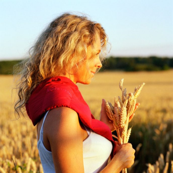 Vetebälte med kardborre röd