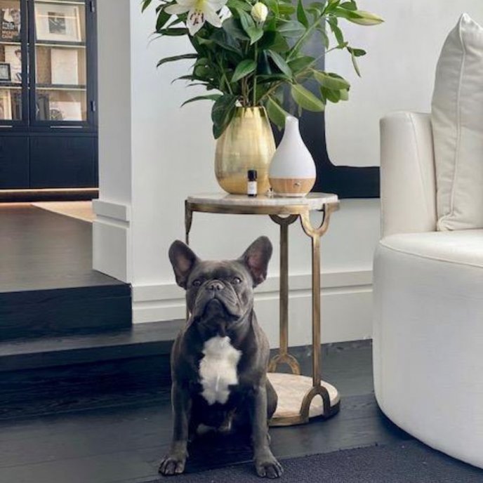 Aroma Diffuser Bamboo Edition Sthlm Fragrance Supplier