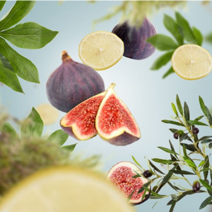 Refill Doftlampa Gardens on the Riviera Maison Berger Paris