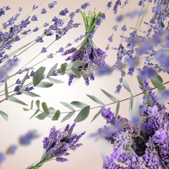 Refill Doftlampa Lavendel Fields Maison Berger Paris