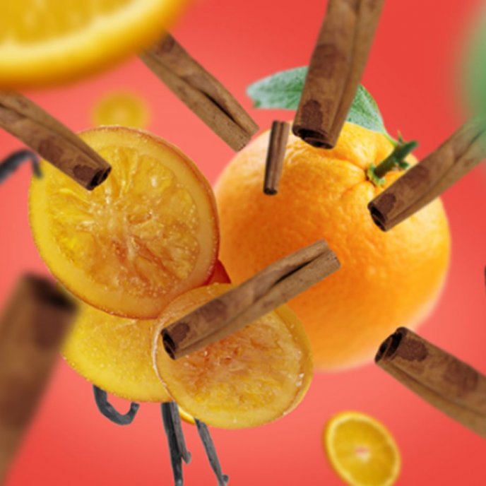 Refill Aroma Lamp Fragrance Orange Cinnamon Maison Berger Paris