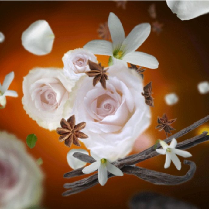 Refill Aroma Lamp | Aroma Relax | Oriental Comfort