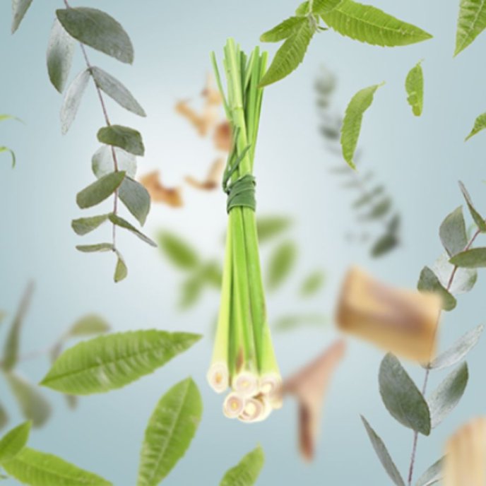 Refill Doftlampa Citronella Maison BergerDoftolja Berger