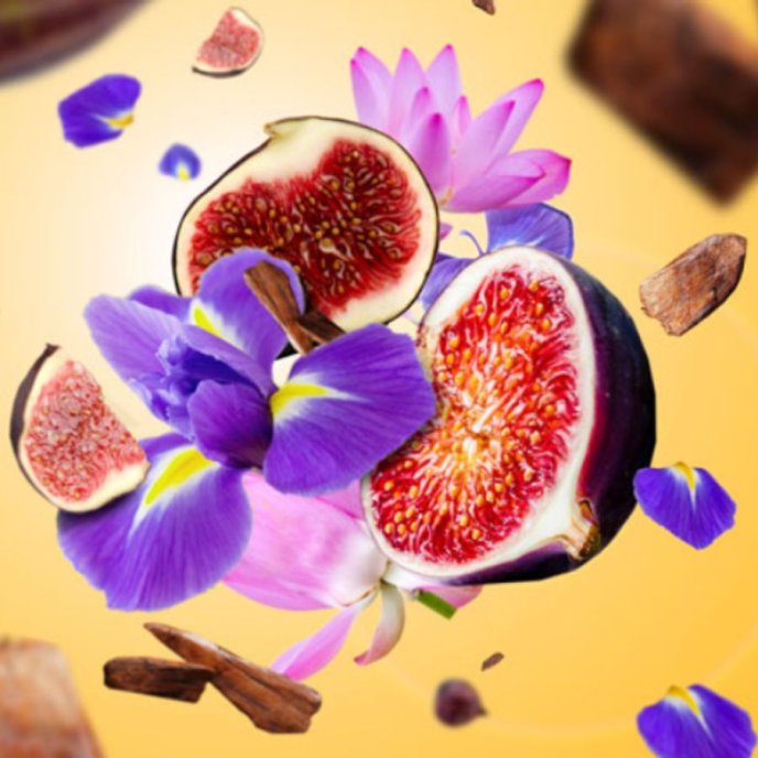 Refill Doftlampa Sweet Fig Maison Berger Paris