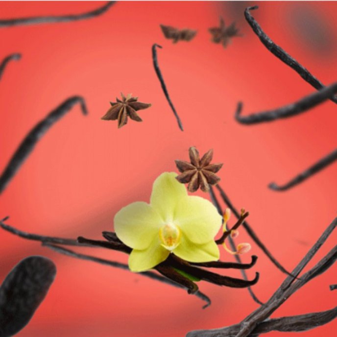 Refill Doftlampa Vanilla Gourmet Maison Berger Paris