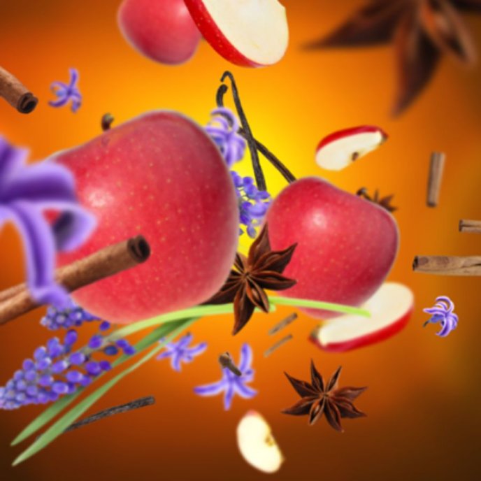 Refill Doftlampa Winter Joy Maison Berger